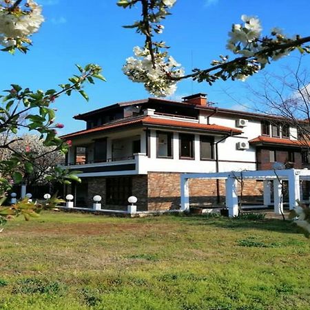Къща За Гости "Мечта" Lyutibrod Ngoại thất bức ảnh